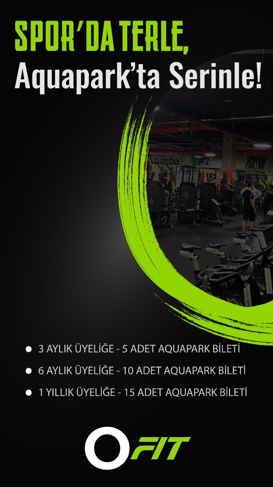 Ofit
